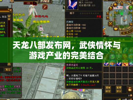 天龙八部发布网，武侠情怀与游戏产业的完美结合
