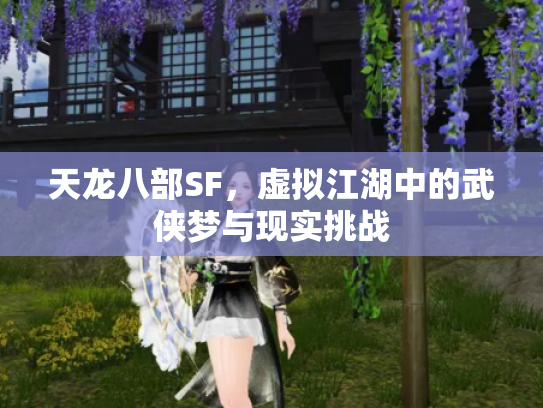 天龙八部SF，虚拟江湖中的武侠梦与现实挑战