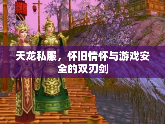 天龙私服，怀旧情怀与游戏安全的双刃剑