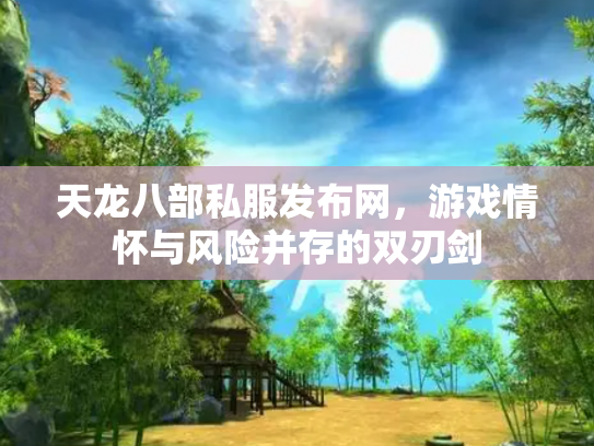 天龙八部私服发布网，游戏情怀与风险并存的双刃剑