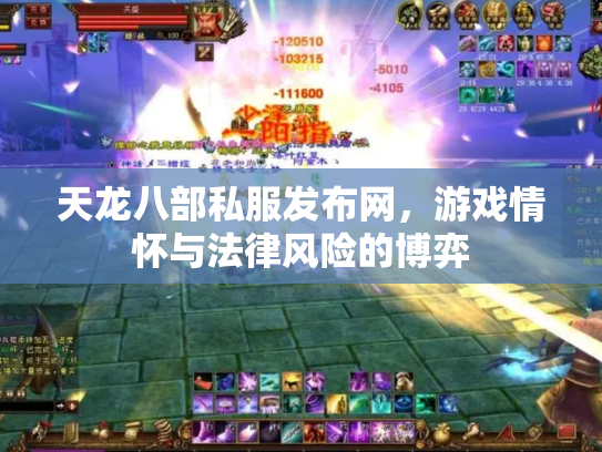天龙八部私服发布网，游戏情怀与法律风险的博弈
