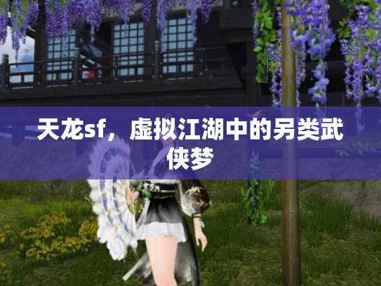 天龙sf，虚拟江湖中的另类武侠梦