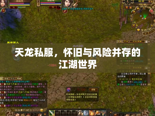 天龙私服，怀旧与风险并存的江湖世界