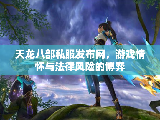 天龙八部私服发布网，游戏情怀与法律风险的博弈