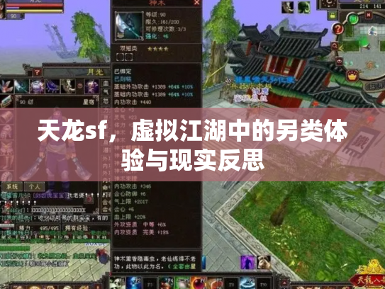 天龙sf，虚拟江湖中的另类体验与现实反思