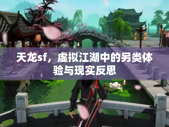 天龙sf，虚拟江湖中的另类体验与现实反思