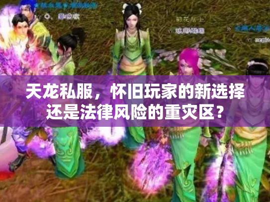天龙私服，怀旧玩家的新选择还是法律风险的重灾区？