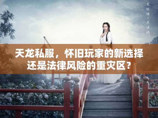 天龙私服，怀旧玩家的新选择还是法律风险的重灾区？