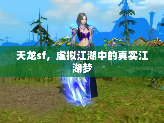 天龙sf，虚拟江湖中的真实江湖梦