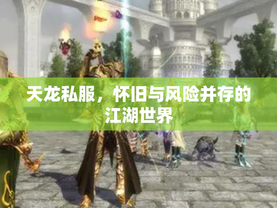 天龙私服，怀旧与风险并存的江湖世界