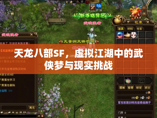 天龙八部SF，虚拟江湖中的武侠梦与现实挑战