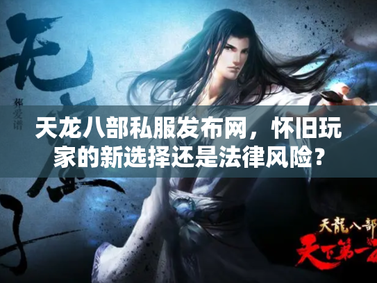 天龙八部私服发布网，怀旧玩家的新选择还是法律风险？