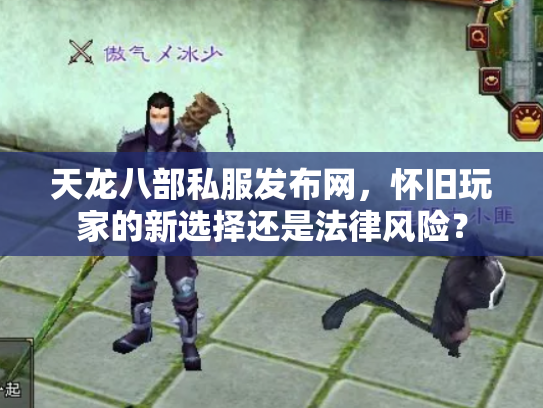 天龙八部私服发布网，怀旧玩家的新选择还是法律风险？