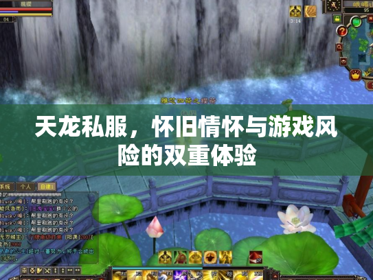 天龙私服，怀旧情怀与游戏风险的双重体验