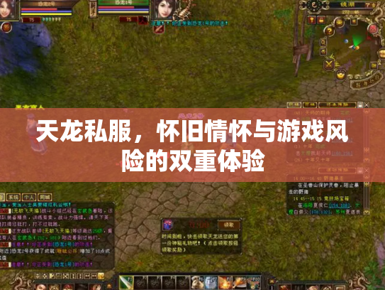 天龙私服，怀旧情怀与游戏风险的双重体验