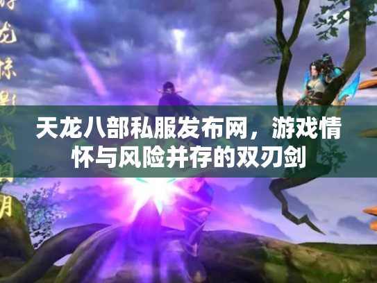 天龙八部私服发布网，游戏情怀与风险并存的双刃剑