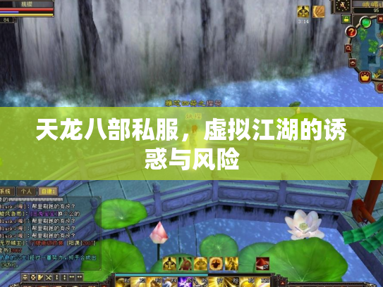天龙八部私服，虚拟江湖的诱惑与风险
