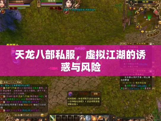 天龙八部私服，虚拟江湖的诱惑与风险