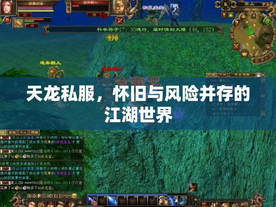 天龙私服，怀旧与风险并存的江湖世界