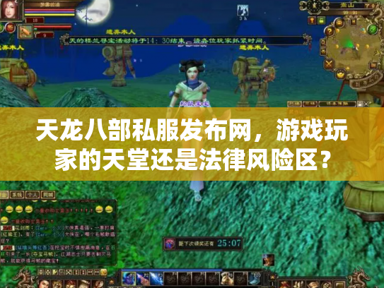 天龙八部私服发布网，游戏玩家的天堂还是法律风险区？
