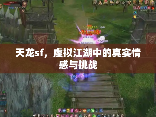 天龙sf，虚拟江湖中的真实情感与挑战