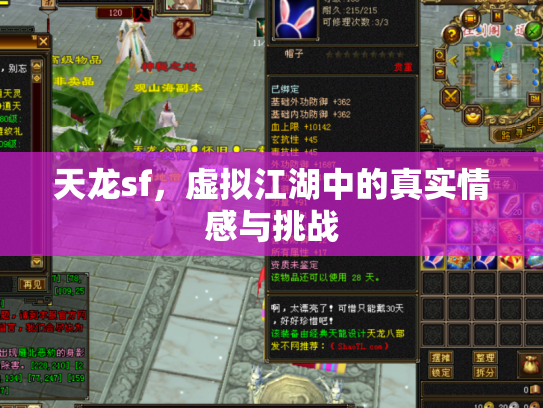 天龙sf，虚拟江湖中的真实情感与挑战