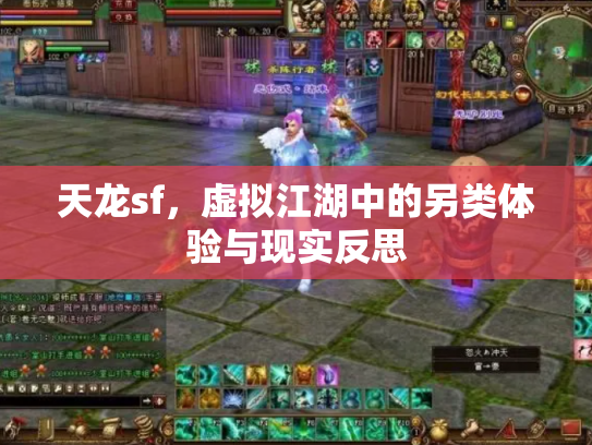 天龙sf，虚拟江湖中的另类体验与现实反思