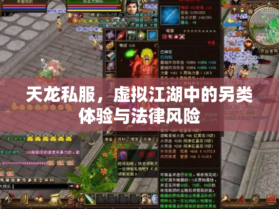 天龙私服，虚拟江湖中的另类体验与法律风险