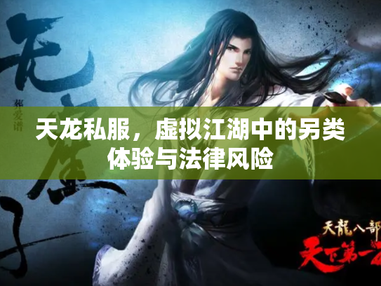 天龙私服，虚拟江湖中的另类体验与法律风险