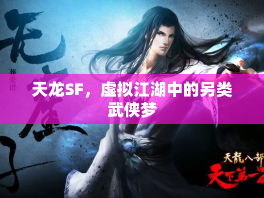 天龙SF，虚拟江湖中的另类武侠梦