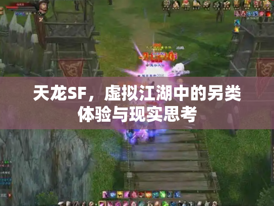 天龙SF，虚拟江湖中的另类体验与现实思考