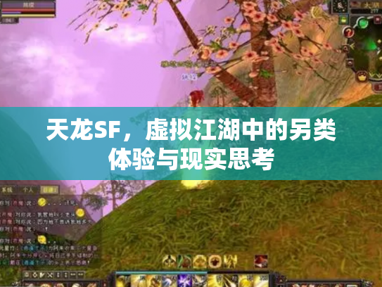 天龙SF，虚拟江湖中的另类体验与现实思考