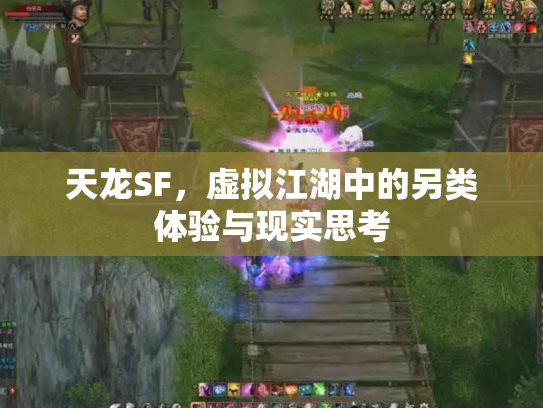 天龙SF，虚拟江湖中的另类体验与现实思考