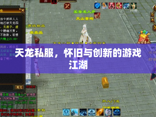 天龙私服，怀旧与创新的游戏江湖