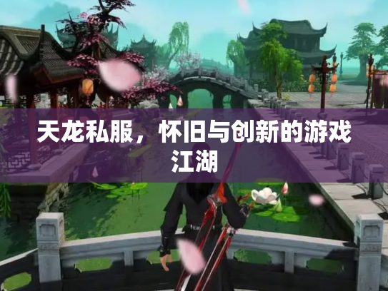 天龙私服，怀旧与创新的游戏江湖