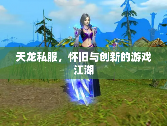 天龙私服，怀旧与创新的游戏江湖