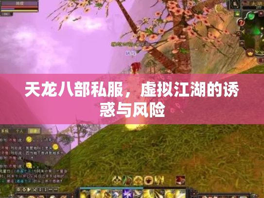 天龙八部私服，虚拟江湖的诱惑与风险