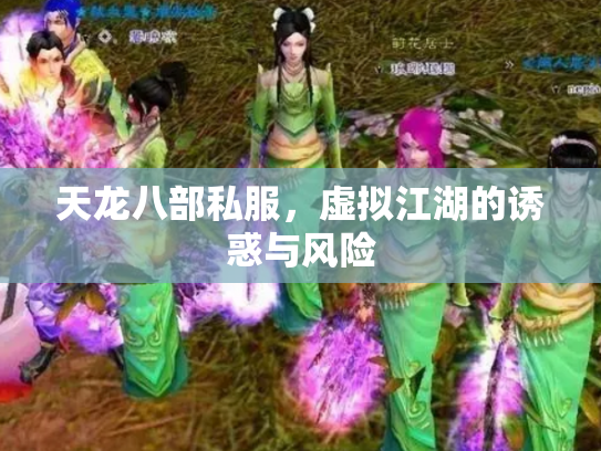 天龙八部私服，虚拟江湖的诱惑与风险