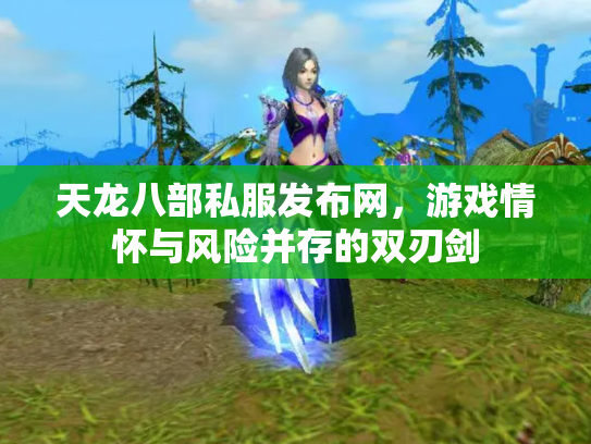 天龙八部私服发布网，游戏情怀与风险并存的双刃剑