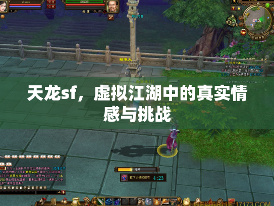 天龙sf，虚拟江湖中的真实情感与挑战