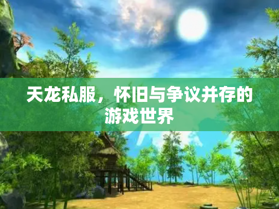 天龙私服，怀旧与争议并存的游戏世界