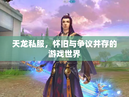 天龙私服，怀旧与争议并存的游戏世界