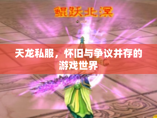 天龙私服，怀旧与争议并存的游戏世界
