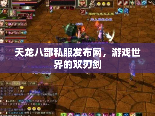天龙八部私服发布网，游戏世界的双刃剑