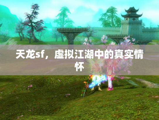 天龙sf，虚拟江湖中的真实情怀