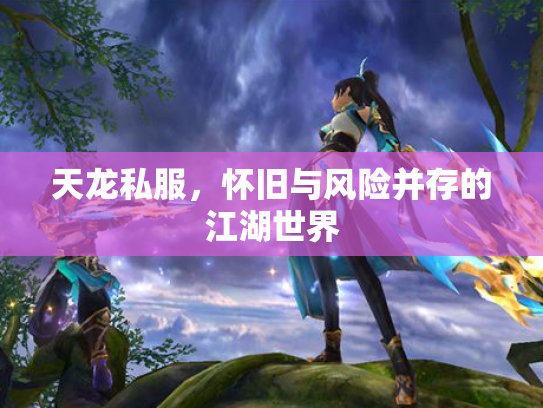 天龙私服，怀旧与风险并存的江湖世界