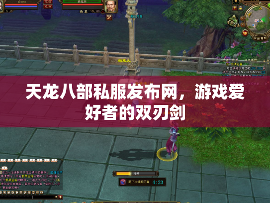 天龙八部私服发布网，游戏爱好者的双刃剑