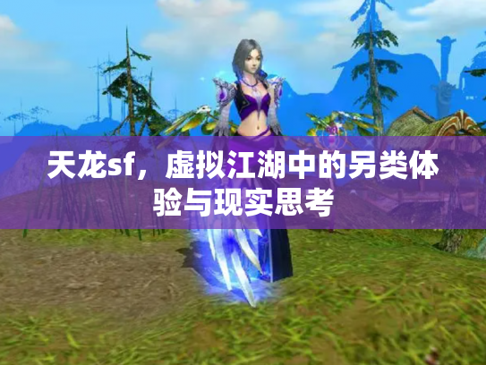 天龙sf，虚拟江湖中的另类体验与现实思考