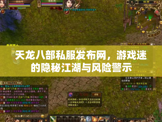天龙八部私服发布网，游戏迷的隐秘江湖与风险警示