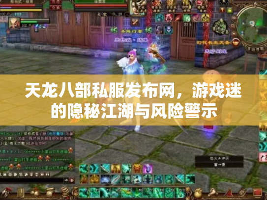 天龙八部私服发布网，游戏迷的隐秘江湖与风险警示